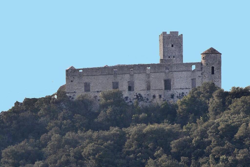 Anduze Gite Les Pins Au "Petit Clos Des Cigales" Massillargues-Attuech Kültér fotó